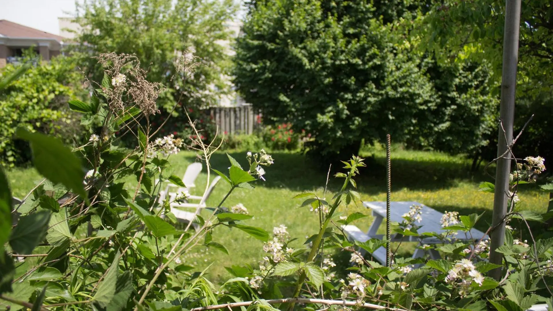 ***  Anna'S Bed & Breakfast Niagara Falls Canada